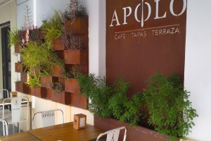 Bar Apolo (Ruta 4: Por el centro de toda la vida: Jesús de los Milagros-Larga-Palacios (zona centro))