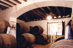 Bodegas González Obregón