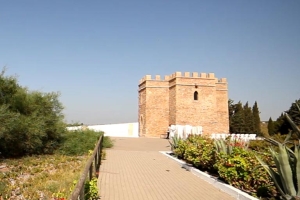 Yacimiento Arqueológico "Castillo de Doña Blanca"