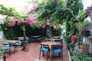 El Patio Alemán (Ruta 4: Por el centro de toda la vida: Jesús de los Milagros-Larga-Palacios (zona centro))