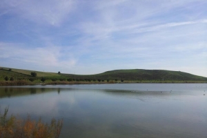 Laguna del Torrox